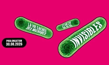 INVISIBLES. La vie cachée des microbes