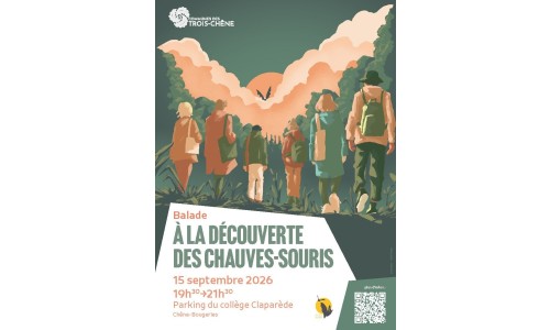 À la découverte des chauves-souris
