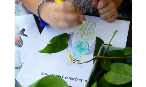 Atelier pour enfants - Quels sont tes super pouvoirs ?