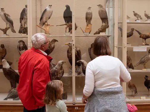 Samedi animalier - Visite thématique