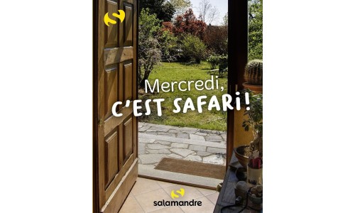 Ciné-nature - Mercredi, c'est safari !