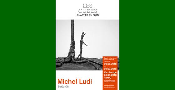 Les Cubes : Michel Ludi
