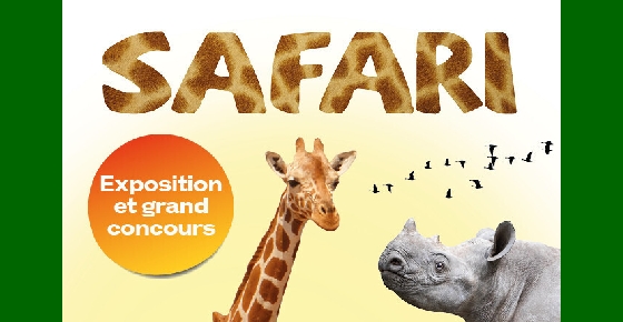 Coop Caroline se transforme en Safari géant !