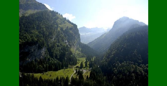 La Thomasia, Jardin de Pont de Nant