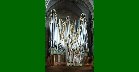 Rudolf Lutz à la Cathédrale