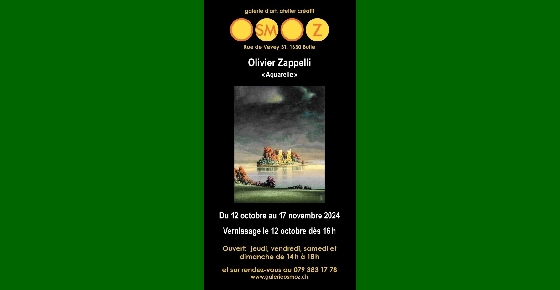 Exposition Olivier Zappelli - Galerie Osmoz